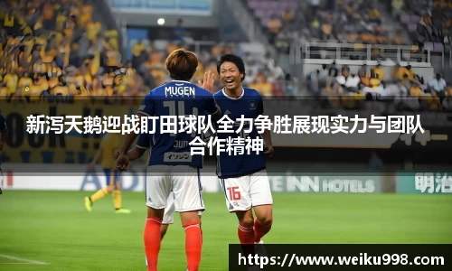 zoty中欧官方网站