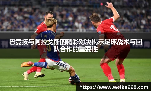 zoty中欧官方网站